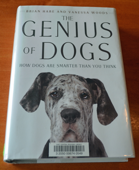 blog wir genius of dogs