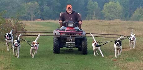 In August, a whole new routine begins. I begin training dogs on wild birds both from home and at our North Dakota camp. Dan conditions adult dogs from a four-wheeler.